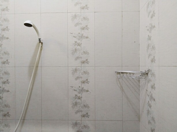 Imagen general del Hotel SMAN House powered by Cocotel. Foto 11