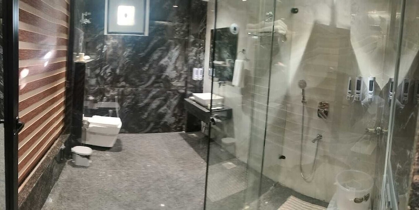 Imagen de la habitación del Hotel SNJ TAJ GRAND HOTEL. Foto 9