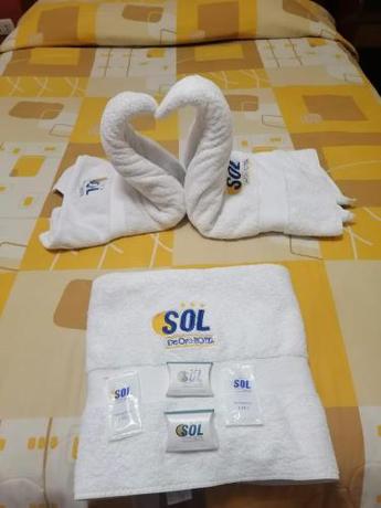 Imagen general del Hotel SOL DE ORO. Foto 8