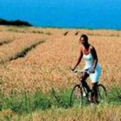 Imagen general del Hotel SONNENHOTEL PRINCESS. Foto 3