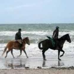 Imagen general del Hotel SONNENHOTEL PRINCESS. Foto 6