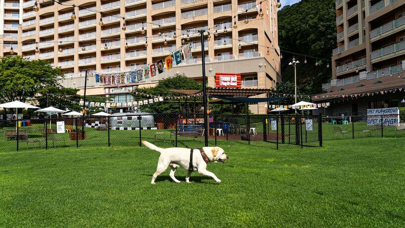 Imagen general del Hotel SONO PET CLUBS and RESORTS VIVALDI PARK. Foto 1