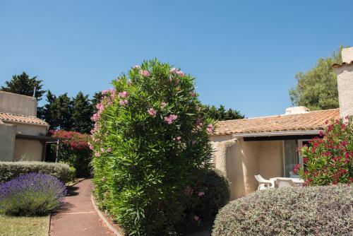 Imagen general del Hotel SOWELL Family Cap d'Agde, AGDE. Foto 4