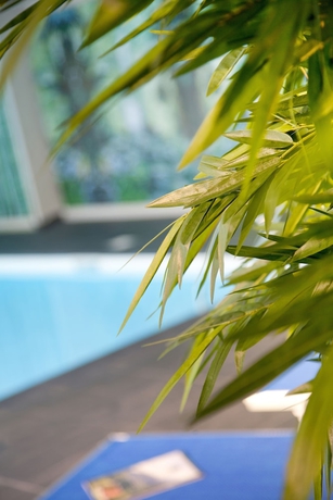 Imagen de la piscina del Hotel SOWELL HOTELS Mont Blanc et SPA. Foto 15