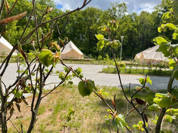 Imagen general del Hotel SØGAARDEN - and SøCamp. Foto 2