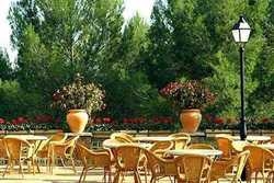 Imagen general del Hotel SPA SANT FERRIOL. Foto 14