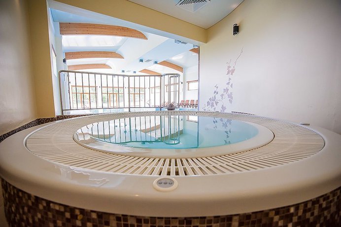 Imagen de la piscina del Hotel SPA Splendor. Foto 17