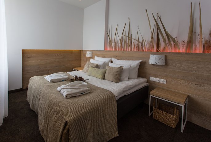 Imagen de la habitación del Hotel SPA VILNIUS Druskininkai. Foto 15
