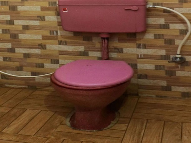 Imagen general del Hotel SPOT ON 49131 New Shiv Shakti. Foto 8