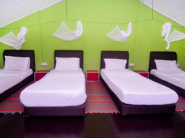 Imagen general del Hotel SPOT ON 89929 Tropical Lodge. Foto 12