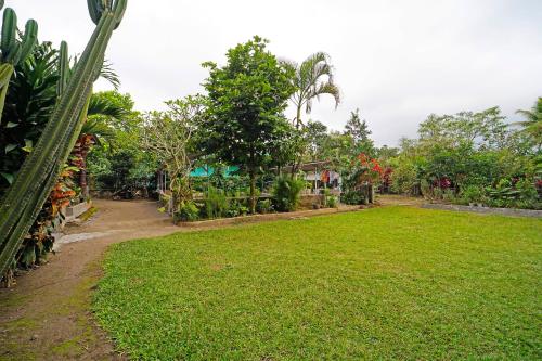 Imagen general del Hotel SPOT ON 91085 Griya Estu Wening. Foto 11