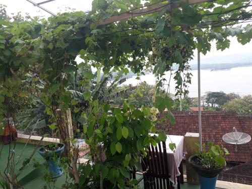 Imagen general del Hotel SPOT ON 91323 Omah Victoria Homestay & Culinary. Foto 13