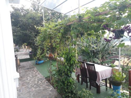 Imagen general del Hotel SPOT ON 91323 Omah Victoria Homestay & Culinary. Foto 14