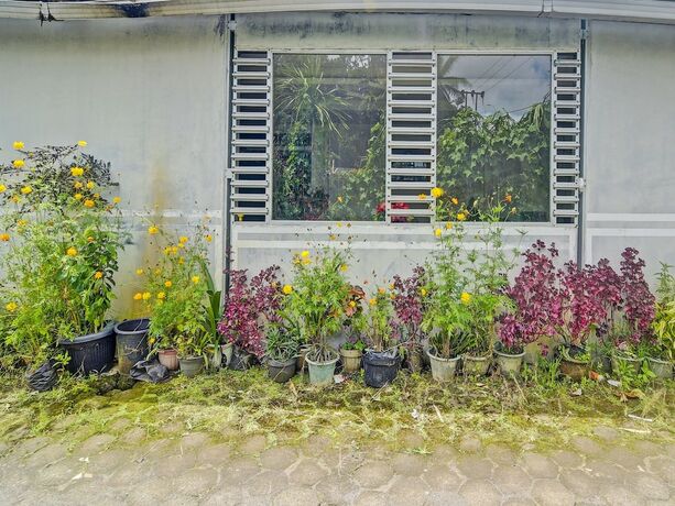 Imagen general del Hotel SPOT ON 92281 Susupuan Kost. Foto 11