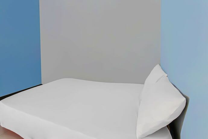 Imagen general del Hotel SPOT ON 92507 Sukandi Homestay. Foto 8