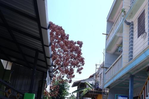 Imagen general del Hotel SPOT ON 92760 Global Media Homestay Syariah. Foto 5