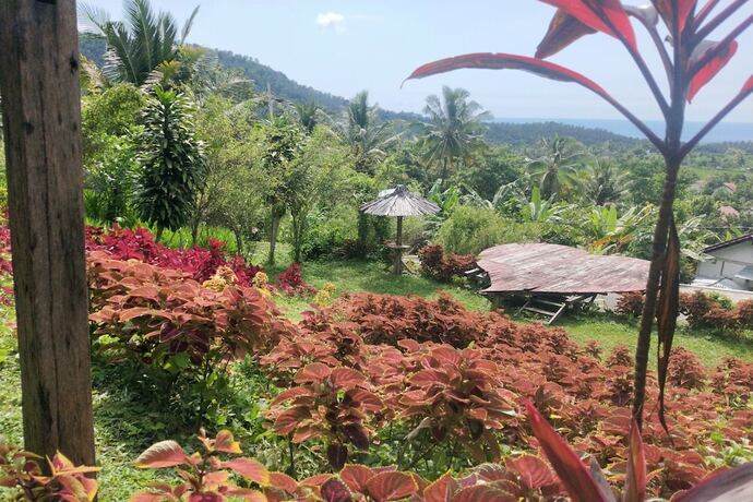 Imagen general del Hotel SPOT ON 93511 Rinjana Homestay. Foto 8