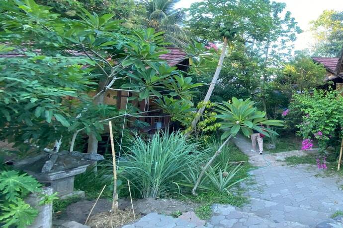 Imagen general del Hotel SPOT ON 93511 Rinjana Homestay. Foto 12