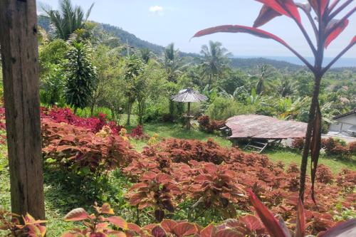 Imagen general del Hotel SPOT ON 93511 Rinjana Homestay. Foto 11
