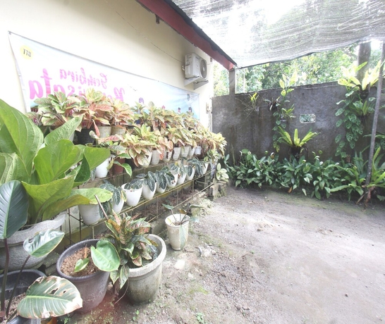 Imagen de los interiores del Hotel SPOT ON 93651 Losmen Ida. Foto 13