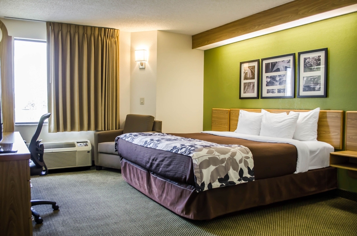 Imagen de la habitación del Hotel SPOT X Hotel Tampa - Wesley Chapel by The Red Collection. Foto 6