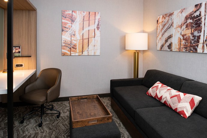Imagen de la habitación del Hotel SPRINGHILL SUITES KANSAS CITY NORTHEAST. Foto 7