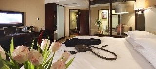 Imagen de la habitación del Hotel SSAW Cheng Zhong Cheng. Foto 12