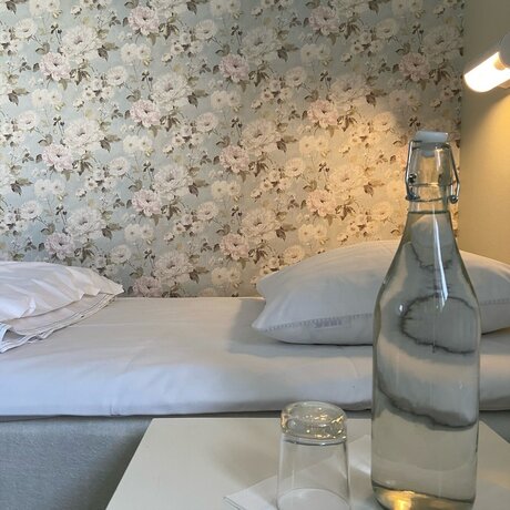 Imagen general del Hotel STF Jädraås Herrgård - Hostel. Foto 10