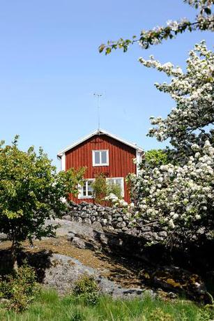 Imagen general del Hotel STF Tj&auml;r&ouml;l & Vandrarhem. Foto 5