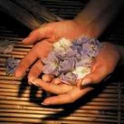 Imagen general del Hotel SUNSHINE CLUB & BEAUTY. Foto 8