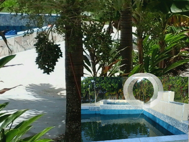 Imagen de la piscina del Hotel SUPER PALM RESORT. Foto 14