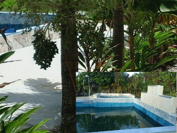 Imagen de la piscina del Hotel SUPER PALM RESORT. Foto 15