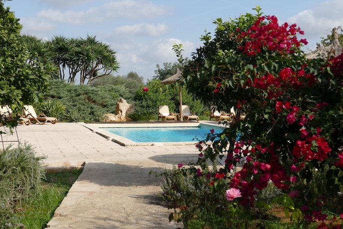 Imagen de la piscina del Hotel Sa Carrotja. Foto 18