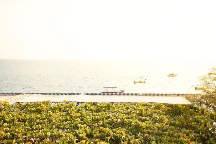 Imagen de la habitación del Hotel SaVojo. Foto 8