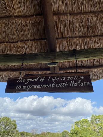 Imagen general del Hotel Saadani Safari Lodge - bush, river, beach (All Inclusive! meals / drinks and Safaris!). Foto 5