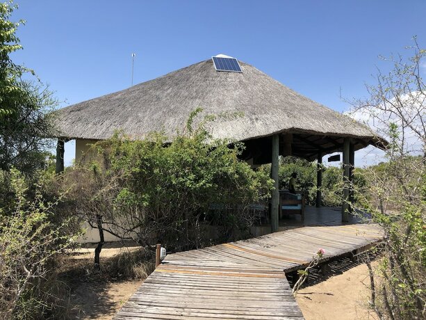 Imagen general del Hotel Saadani Safari Lodge - bush, river, beach (All Inclusive! meals / drinks and Safaris!). Foto 15