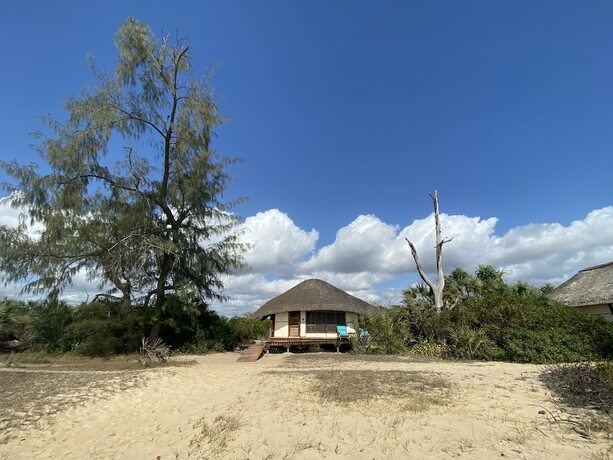 Imagen de la habitación del Hotel Saadani Safari Lodge - bush, river, beach (All Inclusive! meals / drinks and Safaris!). Foto 19