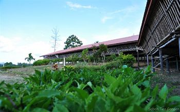 Imagen de los exteriores del Hotel Sabah Tea Garden. Foto 10