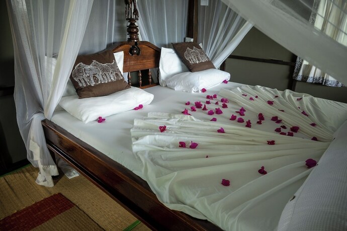 Imagen de la habitación del Hotel Sable Mountain Lodge. Foto 13