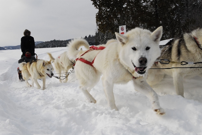 Imagen general del Hotel Sacacomie. Foto 2