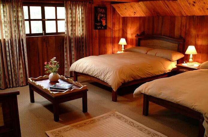 Imagen de la habitación del Hotel Sachatamia Lodge. Foto 12