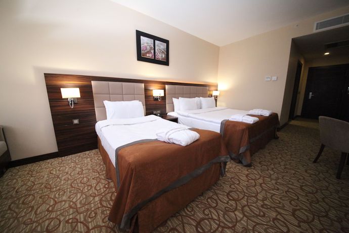 Imagen de la habitación del Hotel Safa Sorgun Thermal Wellness and Spa. Foto 4