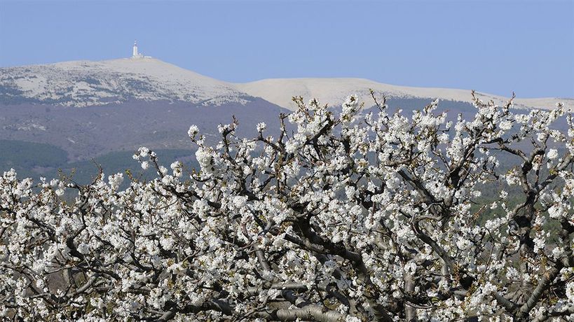 Imagen de los exteriores del Hotel Safari, Carpentras. Foto 10