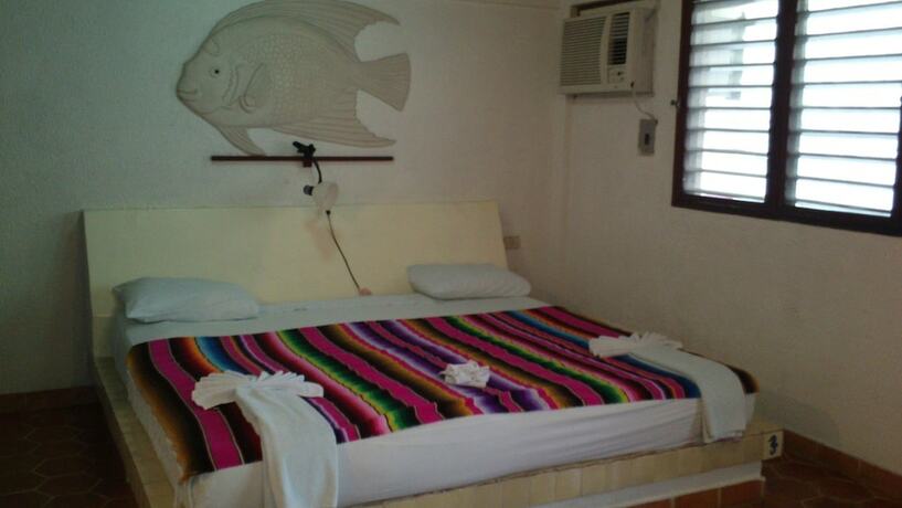 Imagen general del Hotel Safari Inn, Cozumel Centro. Foto 6