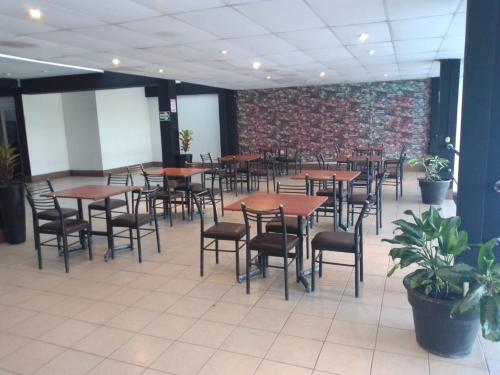Imagen general del Hotel Safari, Iquitos. Foto 5