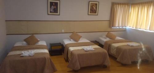 Imagen de la habitación del Hotel Safari, Iquitos. Foto 13