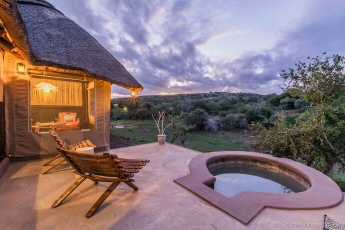 Imagen general del Hotel Safari Lodge - Amakhala Game Reserve. Foto 6