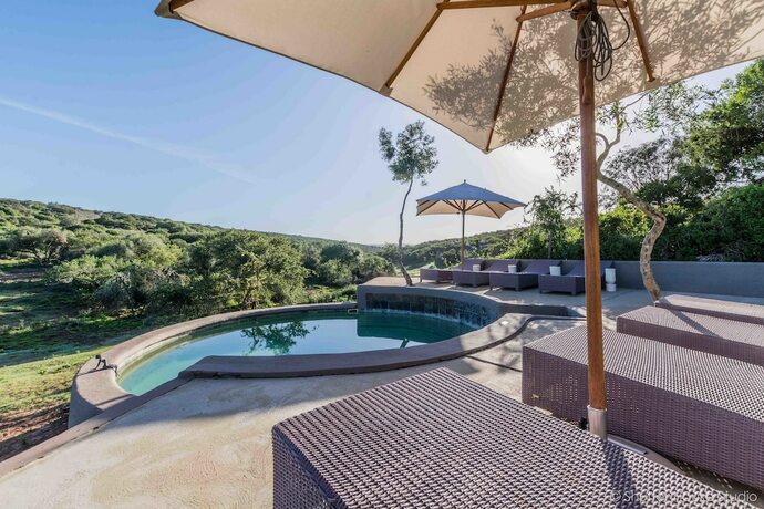 Imagen general del Hotel Safari Lodge - Amakhala Game Reserve. Foto 16
