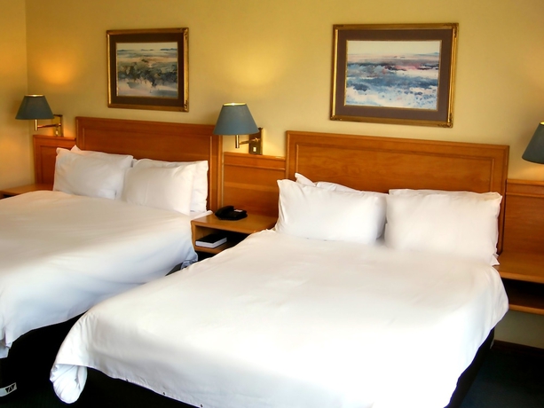 Imagen de la habitación del Hotel Safari Lodge & Convention Centre. Foto 8