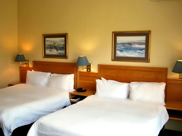 Imagen de la habitación del Hotel Safari Lodge & Convention Centre. Foto 13